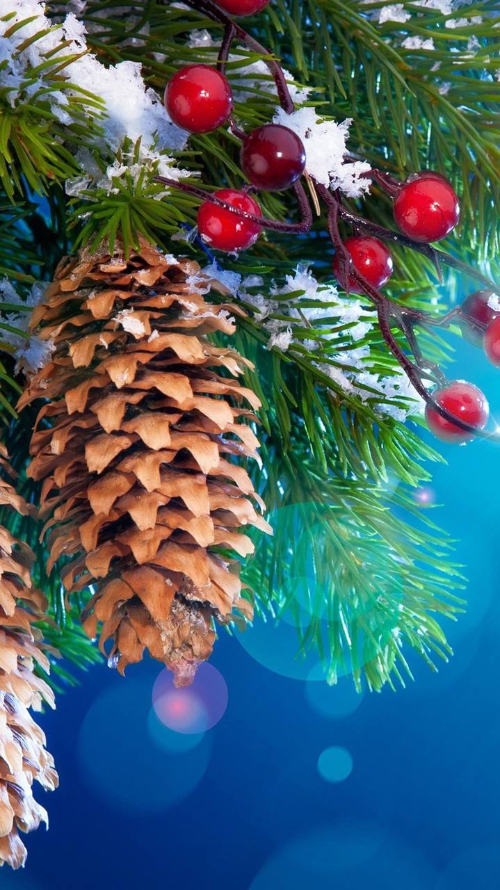  5226458802885350221 121 5