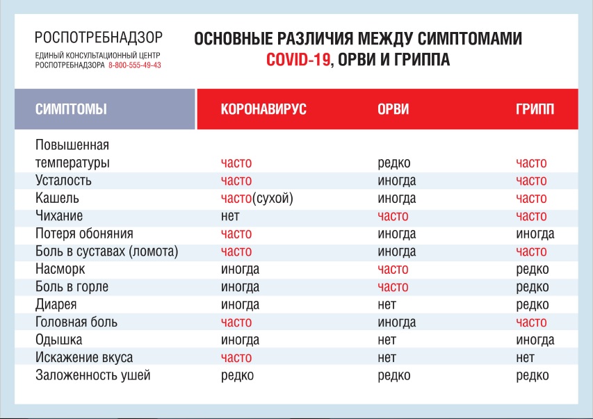 баннер_7.jpg